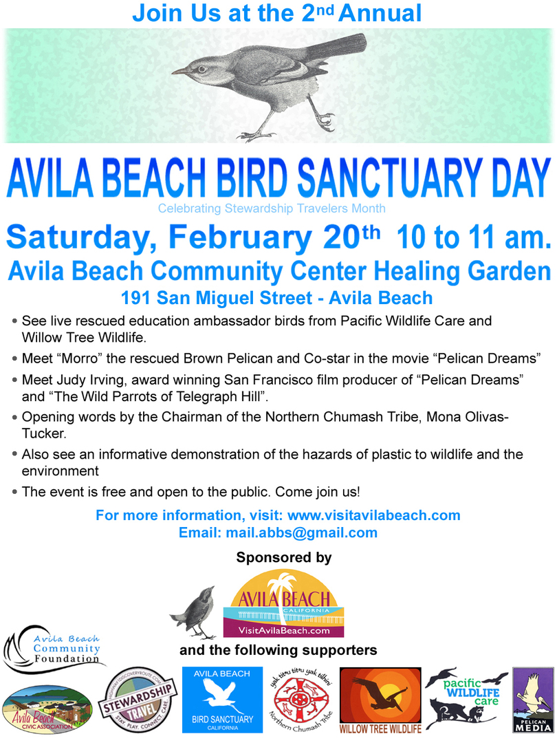 Avila Beach Bird Sanctuary Day